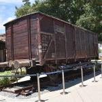 DSC_0113_00102 (June 24, 2023)